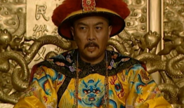 雍正 电视剧,权谋与情感交织的宫廷风云