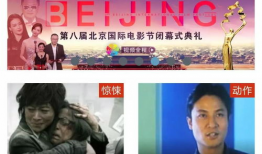 最新电视剧网站,揭秘最新电视剧的奇幻之旅